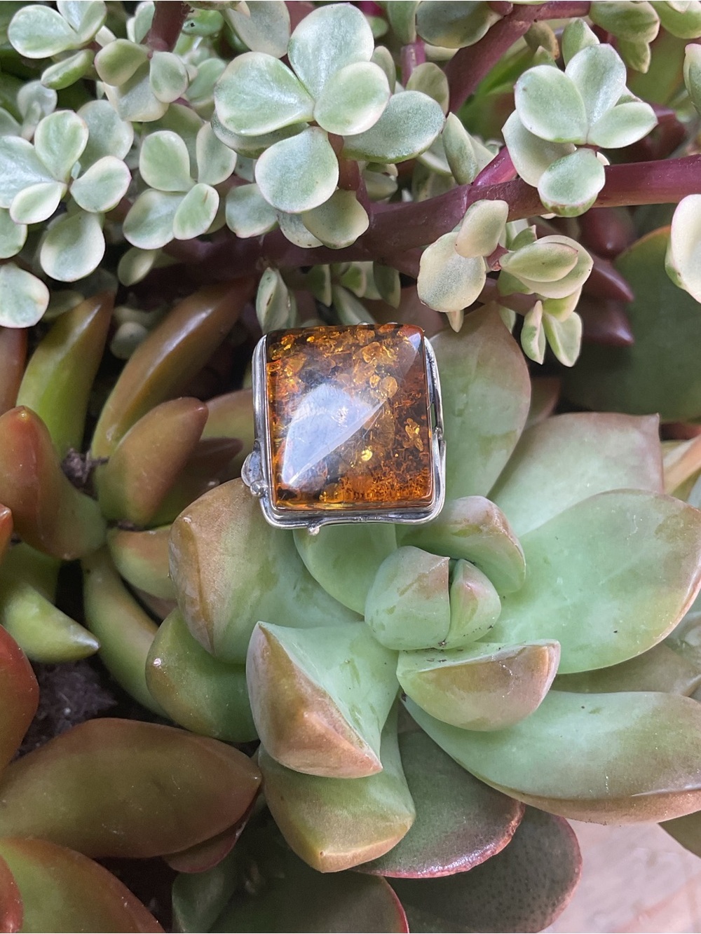 LARGE AMBER RING - Picture 2 of 10